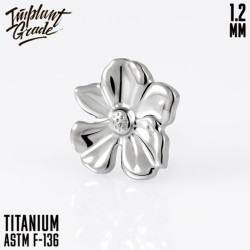 Накрутка Bauhinia IG 1.2 мм титан