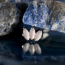 Накрутка-кластер Marquise vol. 2 Natural Stone IG 1.2 мм титан