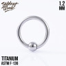 Кольцо IG 1.2 мм титан 
