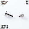 Лабрет шар IG 1.6 мм титан 