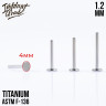 Ножка лабрета IG 1.2 мм титан 