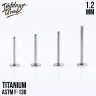 Ножка лабрета IG 1.2 мм титан 