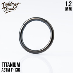 Кольцо сегмент IG 1.2 мм титан+PVD