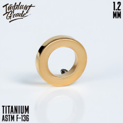 Накрутка Hollow Circle IG 1.2 мм титан 