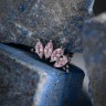 Накрутка-кластер 4K Bead Marquise Pink IG 1.2 мм титан