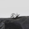 Накрутка Land Snail IG 1.2 мм титан