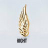 Накрутка Angel Wing IG 1.2 мм титан